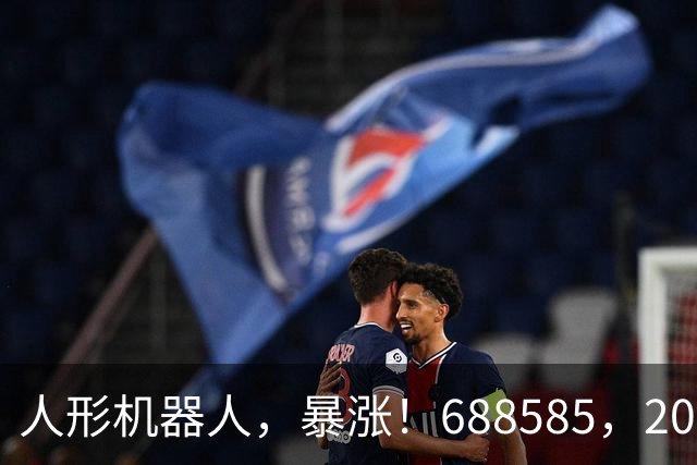 人形机器人，暴涨！688585，20cm涨停！