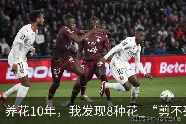 养花10年，我发现8种花 “剪不死”反而会越长越旺，比施肥都管用