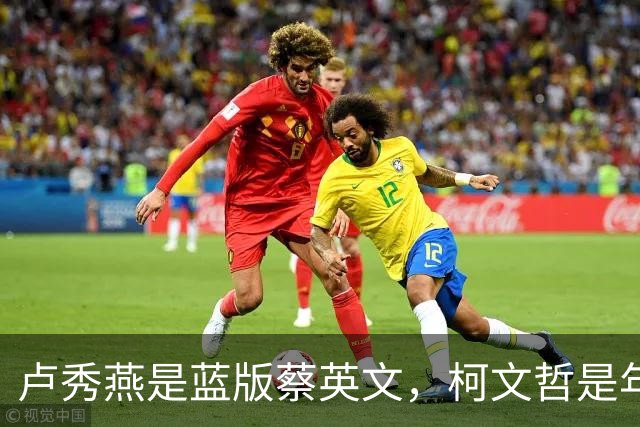 卢秀燕是蓝版蔡英文，柯文哲是年轻版宋楚瑜，郑丽文是激进版连战