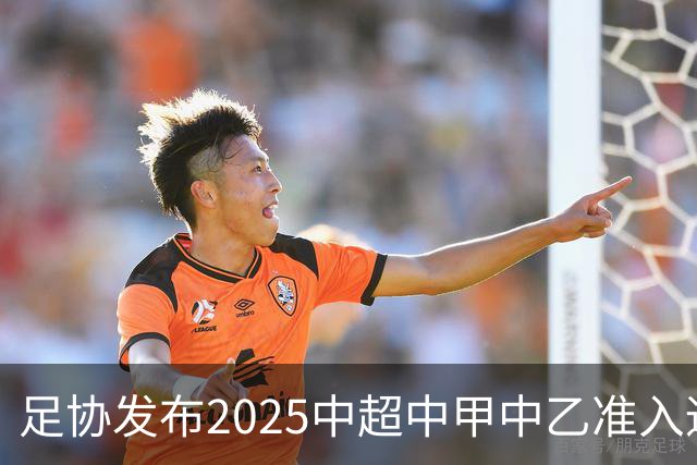 足协发布2025中超中甲中乙准入通知 11.25前提交材料